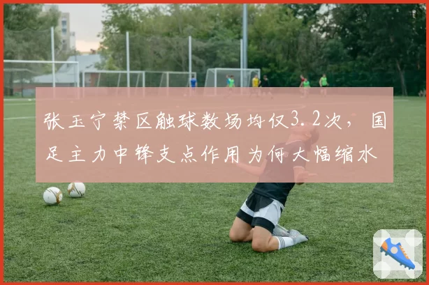 张玉宁禁区触球数场均仅3.2次，国足主力中锋支点作用为何大幅缩水？