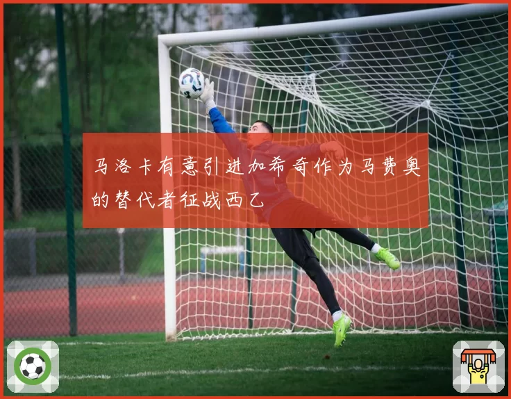 马洛卡有意引进加希奇作为马费奥的替代者征战西乙