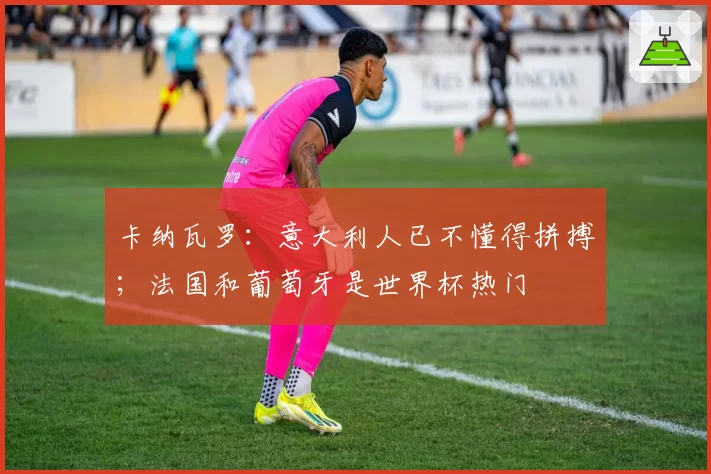 卡纳瓦罗：意大利人已不懂得拼搏；法国和葡萄牙是世界杯热门