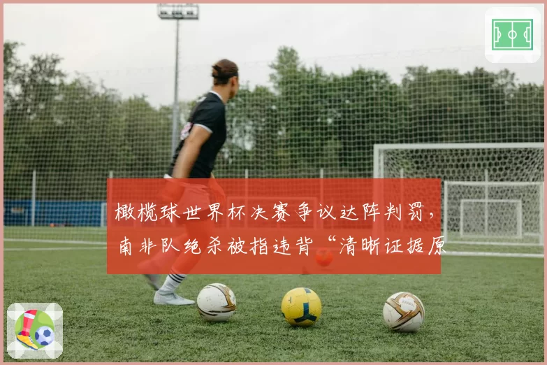 橄榄球世界杯决赛争议达阵判罚，南非队绝杀被指违背“清晰证据原则”